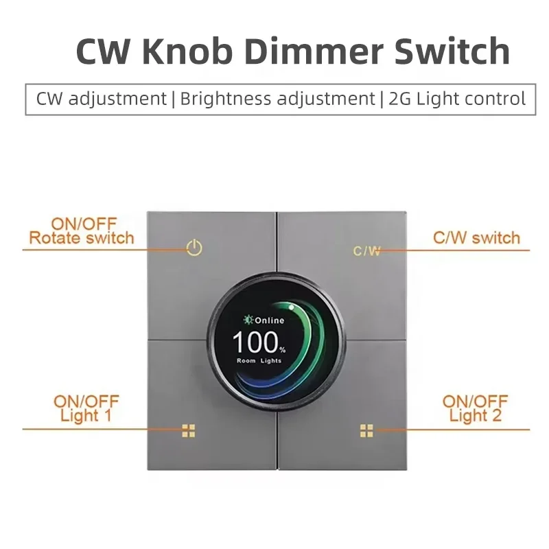 Smart Home Switch - In stock Tuya Smart Home CW